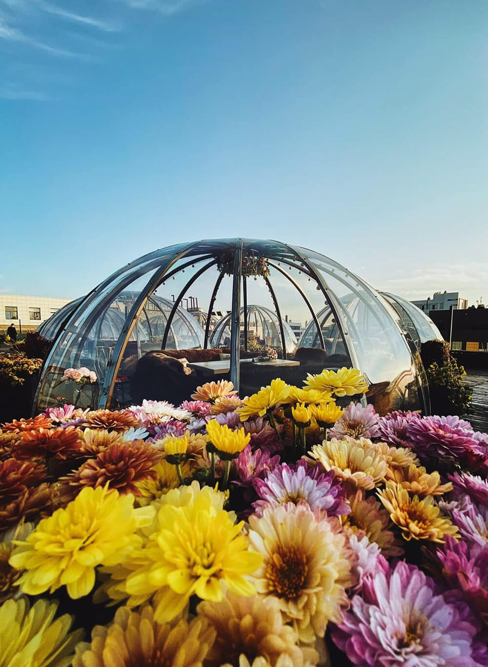 igloo-1000×1300-flowers- (1) My Igloo Domes