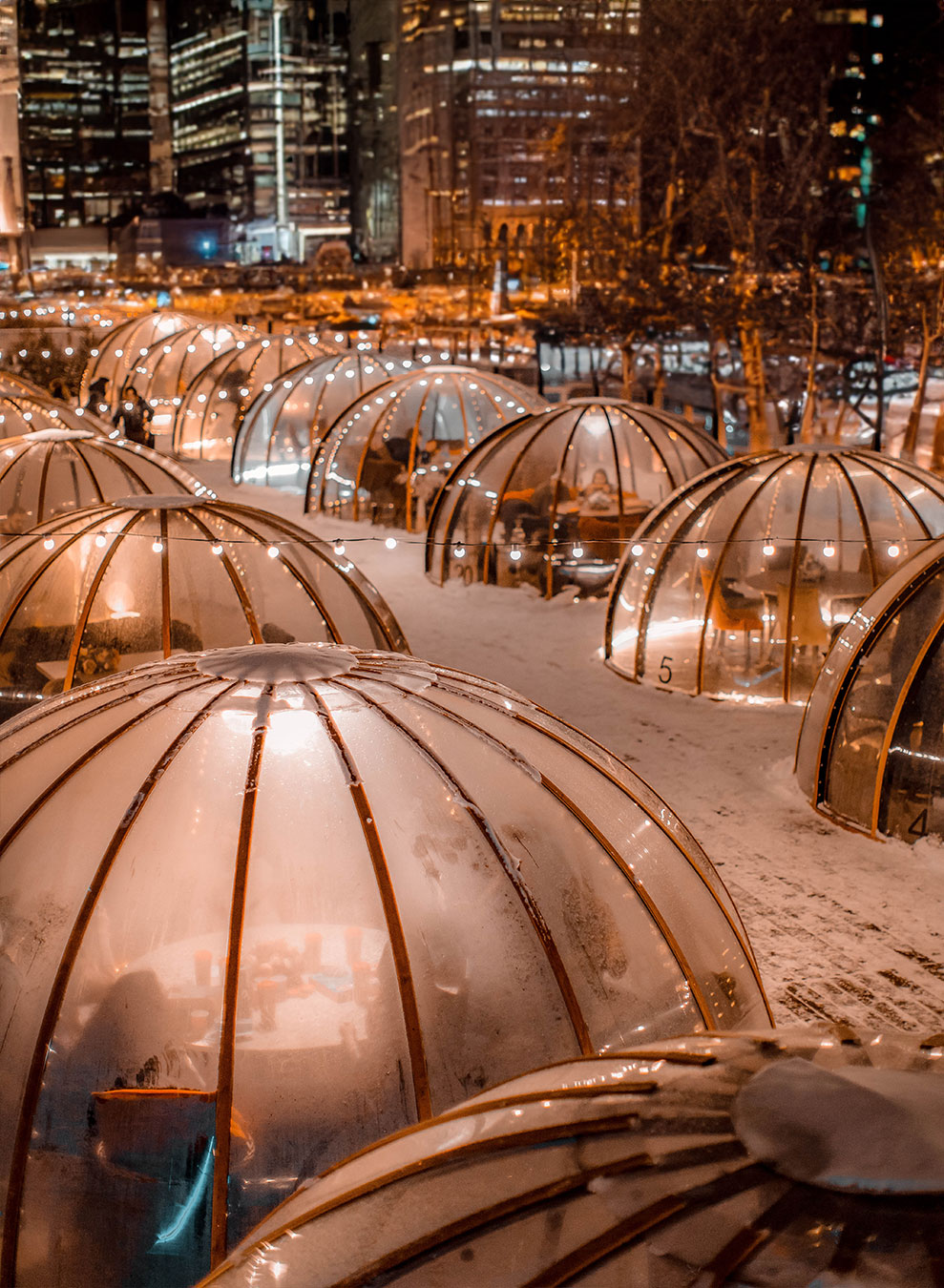 igloo-1000×1300-new-york-ok My Igloo Domes